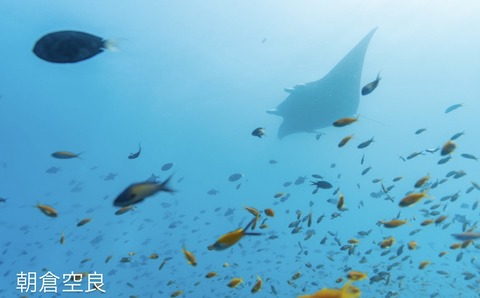 CDD67277-B6D8-48E1-94FB-7AB010CECC2D