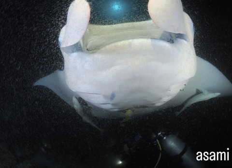 DC42F4EE-A804-4B5D-AC58-12431ED158EA