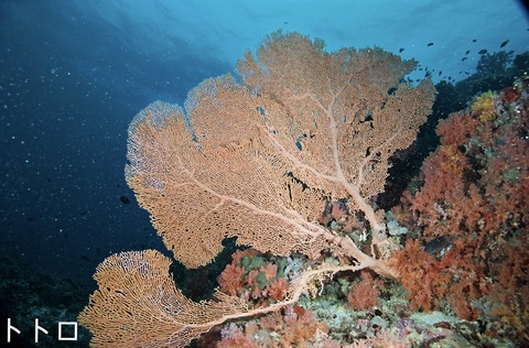 23ABE680-2D99-4F5E-9089-5F88F52F6F87