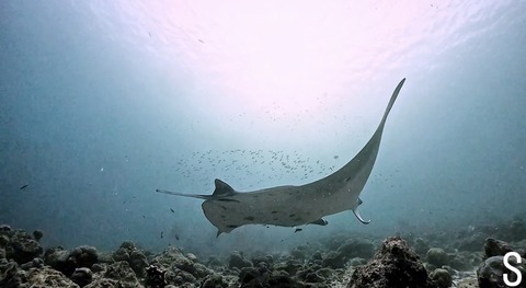 B51F38A7-1741-414B-B5BD-4EA2DCE5AF48