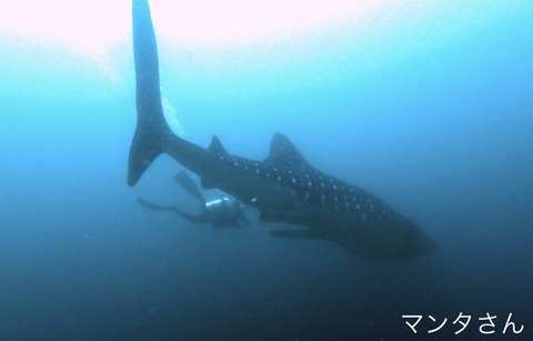 E66C4FAC-4DBC-4BA6-8599-FB18B4D76F6B