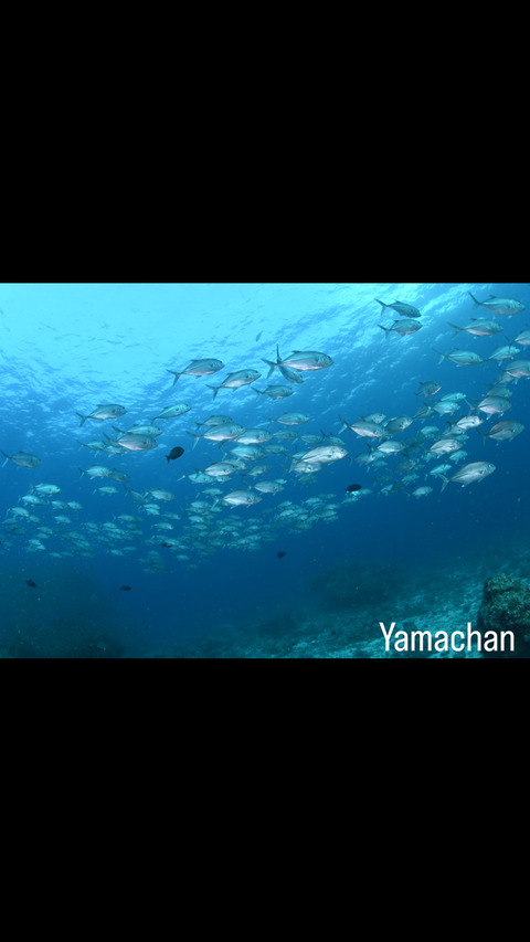 8412EC0B-3CD8-474A-80EE-7EF4452D7833