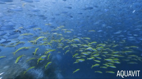 12509301-E06F-4E2F-9DD3-28985AAAC03B