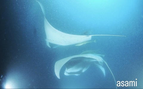 BBED09F6-3BFB-4A61-9454-08B079831034