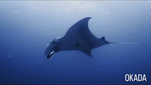 3F8121DA-94B1-44DA-904A-0DCB3B0993D3