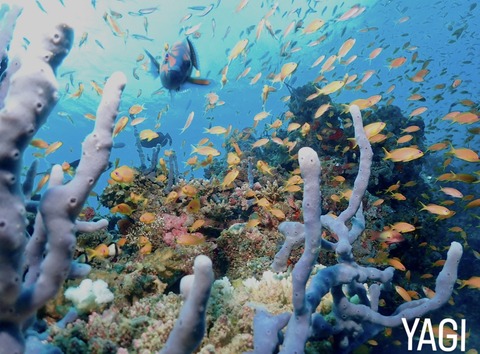 6E6B54EF-7EB5-4457-AD6C-3C9DEBF3BA49