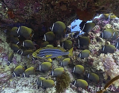 0DF0C024-A1EE-4F1B-A8C1-B904348D234A