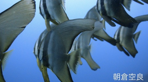 93797F5C-25E9-4E35-BB95-F9004EEE2D8E