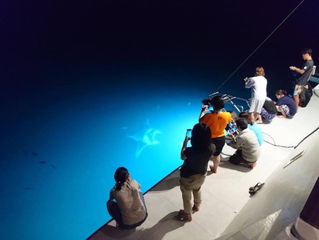 44359801_183181712557902_3259652613116788736_n