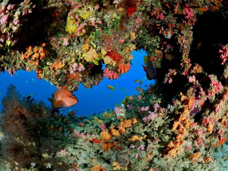 PA025900(10月2 13 )