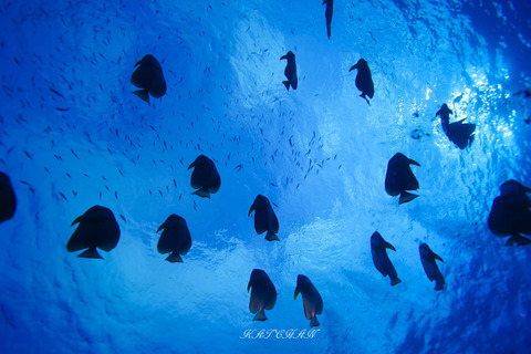 408455954_6917943588299894_692654447611263148_n