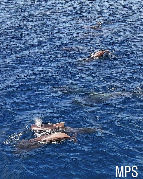 93162F3A-033C-407A-AC78-C44628283776