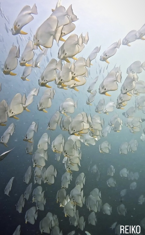 916FBF71-08A9-4222-A2B8-A6F17CB6B5AE