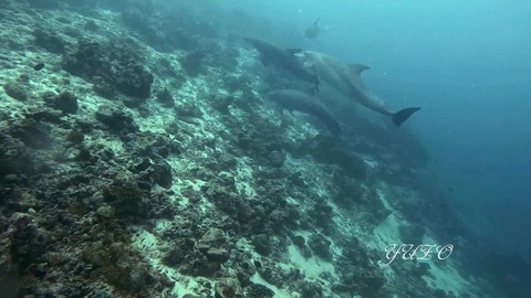 385081938_6673688472725408_640256485615064737_n