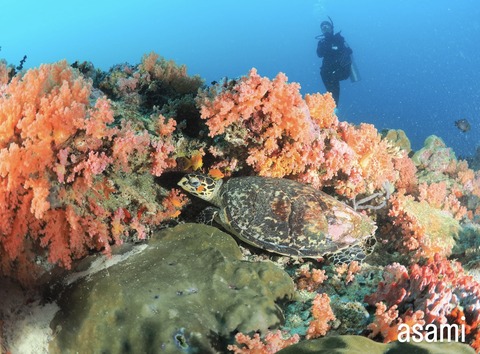 0DF9E64F-02B5-4B4F-8CB2-1E5E629DFFAC