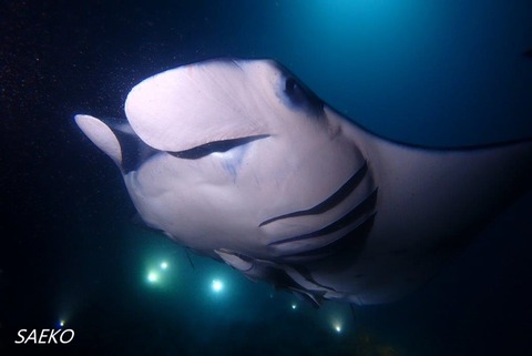 P9190337