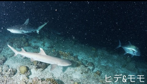 D3E68FAF-527E-4B16-A1B1-7929D13CE34D