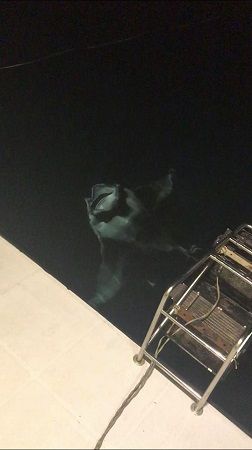 44948342_551036272017188_2136906797112360960_n