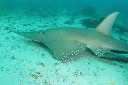 26829012_1305248682915157_1319312068_o