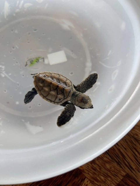 363347960_6463579220403002_8872257859259386277_n