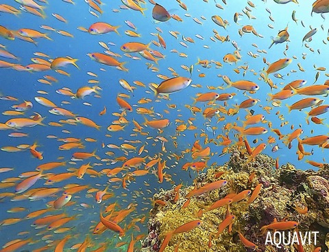 F130DABC-2250-4545-830C-E718CA7FE101