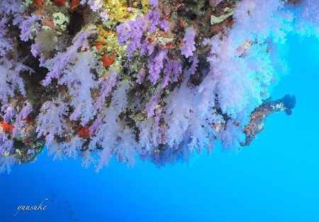 30923313_930787310436690_352091868_o