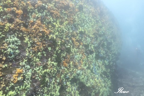 367722057_1887904214943736_8713883103864801629_n