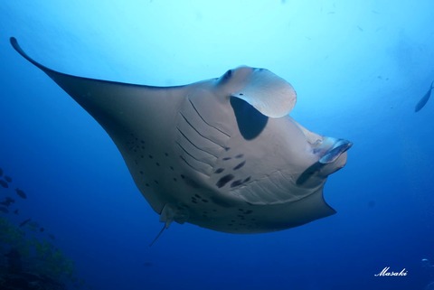 362279966_6461685190592405_1570973082200422267_n