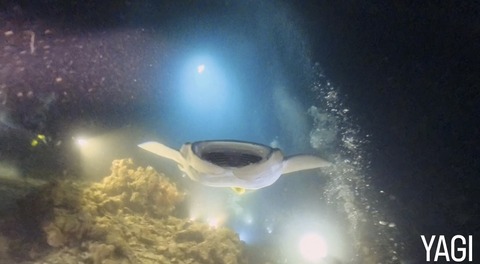 11FE4809-AEB3-4D67-A4A0-D186CCFB20E6