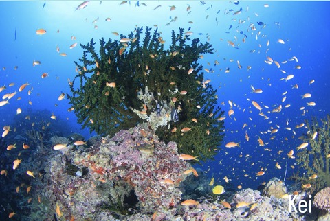 73975694-ACAA-4A1C-B483-69631C0D0DFD