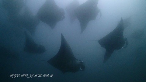 PC151999 - frame at 0m2s