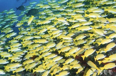 EF33770C-EB01-480D-9AC1-3435A528A422