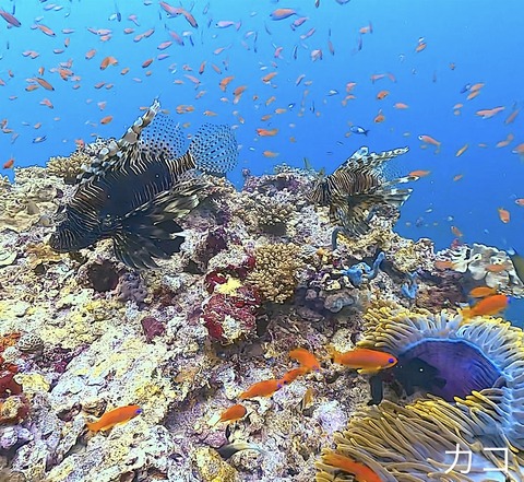 12EA28A1-1D77-4AA7-B34D-D6896E5E39F2