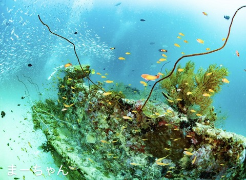 E7398C34-39D5-4ACE-918C-0893911641DA