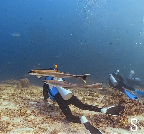 860FEA76-8D92-47D1-AC80-CE42753B8900