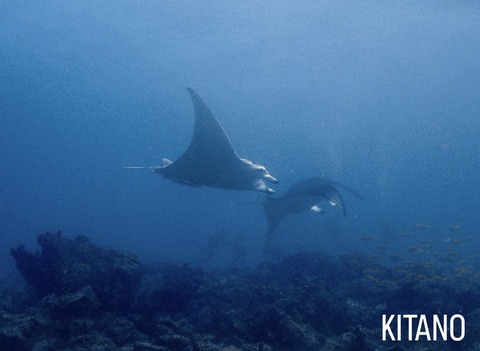 761B8B9B-FEDE-4A7F-B35B-5CAF6DC59FDA