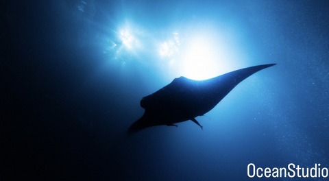 08C95BBD-6F08-4639-9131-CC06EADD0F94