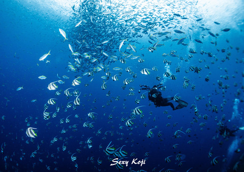 387329571_246878368142796_5743933467999240659_n