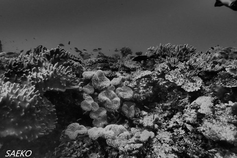 P9200413