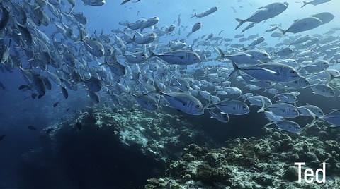 A29BEE65-6697-4FA6-80B4-9010323A2383