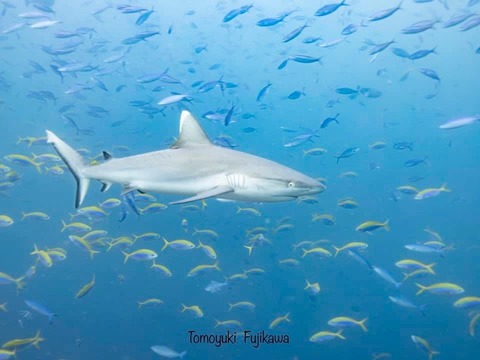 376769212_6583274861766770_809524044899248862_n