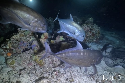 12014F00-7571-4B61-A1DF-C1B1C779A460