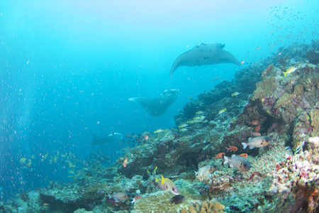 名称未設定-1(ドラッグされました) 3