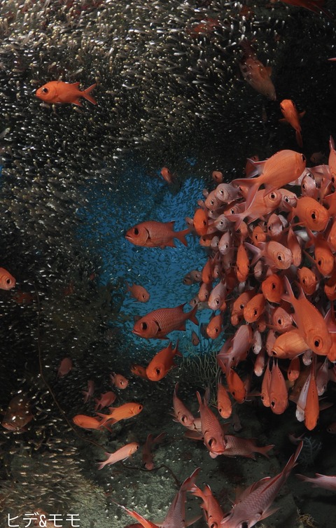 3F9B39F1-5225-4E0A-A116-6FC18FA12096