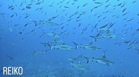 A45BB689-BDE6-4300-9330-90B4B244A6D6