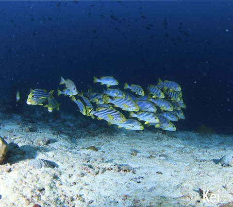 86B94BE2-75E5-4194-B338-74C76FD07DBD