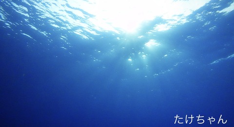 EF7B2E37-B88D-4BE7-95A0-3D8095CB5031