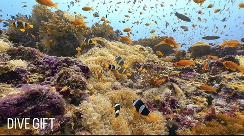 40196804-7895-4747-9A8D-9A5BB6CCD175