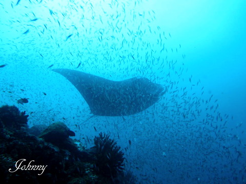 IMG_4514 - コピー