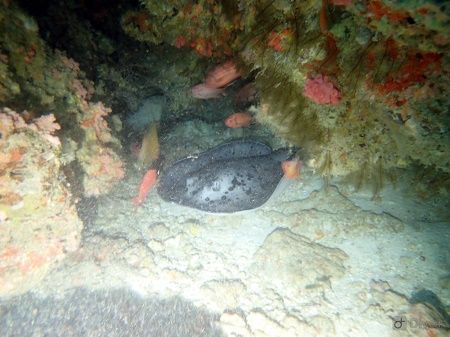 44125399_727865117571135_8998160977102897152_n